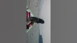 Mancing mania salam neng lala