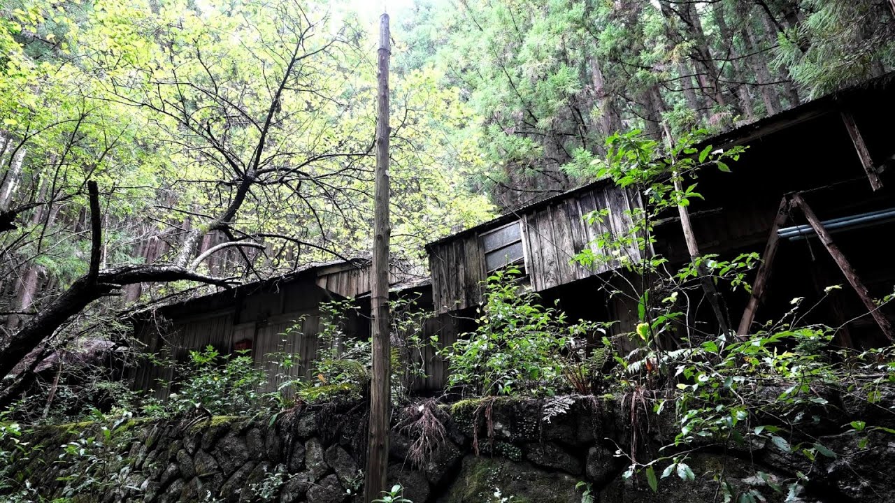 The Silent Forest Village　　静かなる森の里