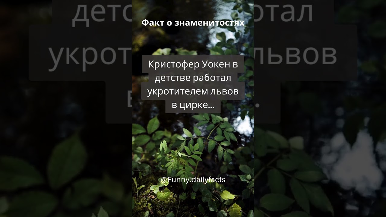 Факты о знаменитостях №15 