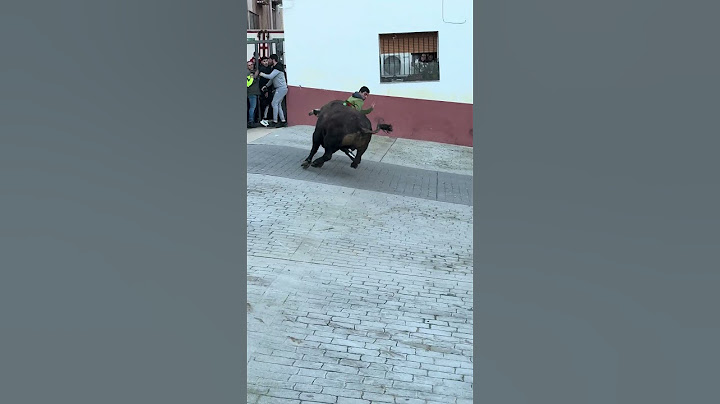 ¡Toro cerril en Tales! (¡Vaya susto!) #toros #susto