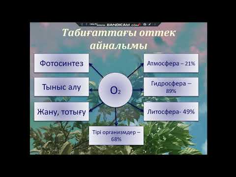 ҮСШК. Тойман А.Ж,. Заттардың биогеохимиялық айналымы