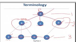 Tree 1(Introduction and terminologies)