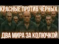 Как делятся камеры в тюрьме