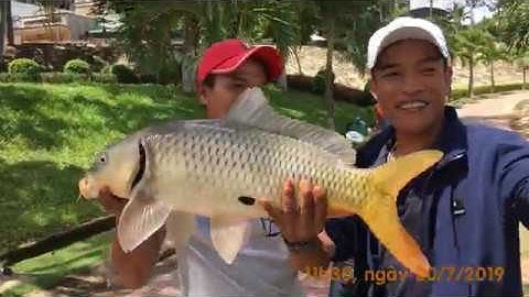 [lancer fishing] Câu cá tự nhiên được chép khủng | câu lăng xê | Đắk Nông (P2)