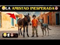 👦🏼🐾LA AMISTAD INESPERADA DEL BURRO EL PERRO Y EL NIÑO👦🏼♞🐶