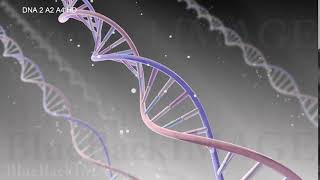 Dna Rna Gene Genome Medical Virus Cell Science Molecule Biology Genetics Dna 2 A2 A4 Hd