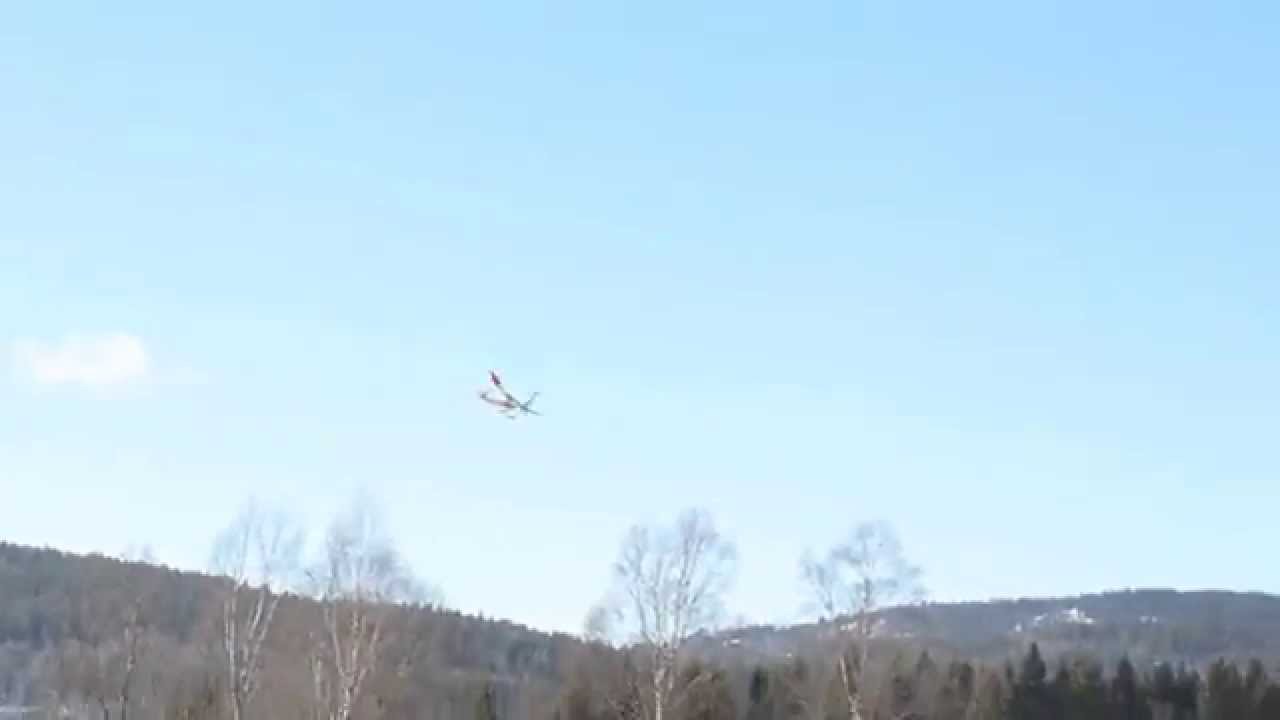 Playboy Jr. On a windy day.