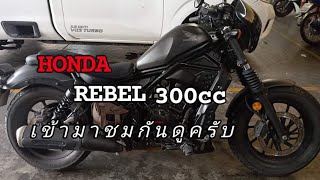 HONDA rebel300มารับชมกันเลย