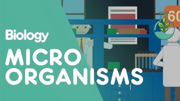 Culturing Microorganisms Part 1 | Cells | Biology | FuseSchool