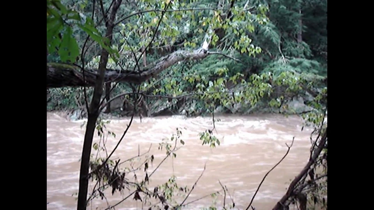 Catoctin Creek: A Comparison of 4.1ft. & 5.3ft.