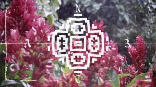 Nicola Cruz - Colibria (History Of Colour Remix) chords