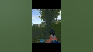 THE UNEXPECTED…. #shorts #rust #shortsfeed