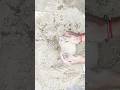 Pure Mud Dirt #crunchycrumbles #softdustyasmr #dustyasmr #mudcrumbling #satisfying
