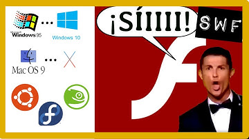 ℹ️ Cómo ABRIR CUALQUIER archivo SWF (FLASH) sin navegador y SIN FALLOS en CUALQUIER PC/Mac Tutorial