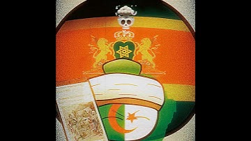 USA join the chat | The first war USA lost in its history | AMERICAN-ALGERIAN WAR |Countryballs edit