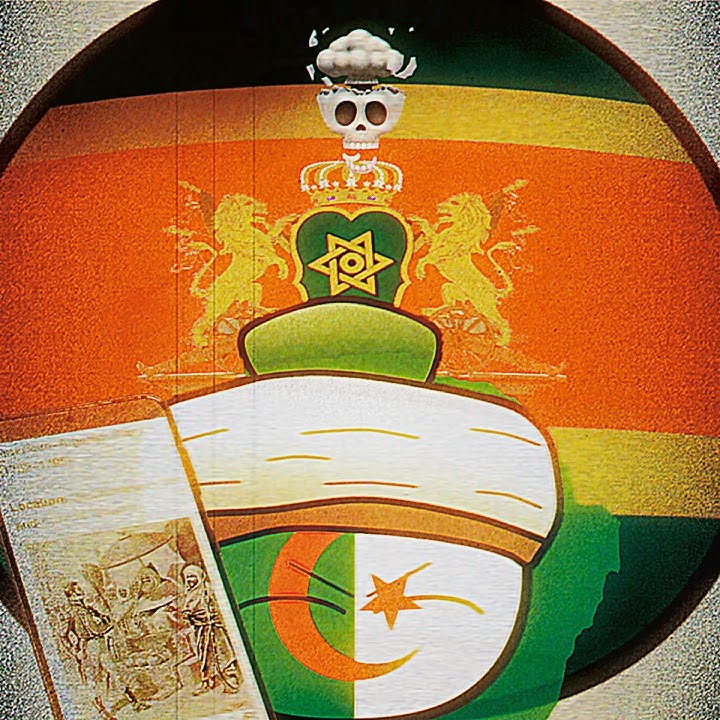 USA join the chat | The first war USA lost in its history | AMERICAN-ALGERIAN WAR |Countryballs edit