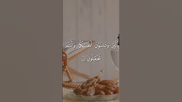 من سورة البقرة بصوت القارئ الحسين عبدرب الرسول محمد#القرآن_الكريم#اكسبلور #القرآن_الكريم