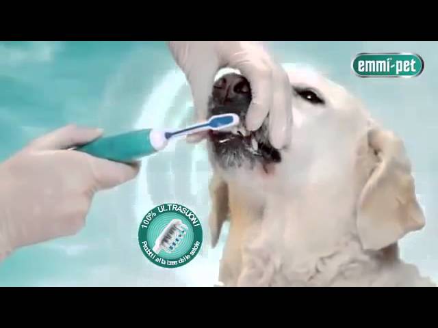 Emmi-pet Spazzolino a Ultrasuoni per Cani Italiano - SmileNowForever 