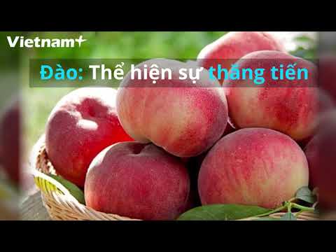 Video Ý Nghĩa Và Cách Bày Mâm Ngũ Quả Trong Ngày Tết Nguyên... - youtube