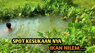 Download Lagu NGURAS SPOT BERPASIR TEMPAT KESUKAAN IKAN NILEM BERSEMBUNYI MP3