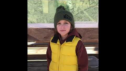 Belemnites Belemnites Belemnites at Big Brook Preserve