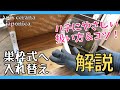 【日本ミツバチ】巣枠式への入れ替え方法を解説します