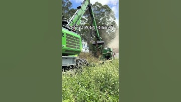Warragul Tree Removal with Sennebogen 718E | Drouin Tree Services Crew in Action #vegetation