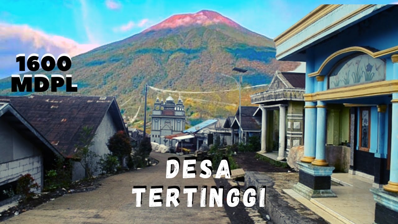 Sisi lain Dipa jaya desa tertinggi di Kabupaten Pemalang penghasil sayuran terbesar @jejakomsenja