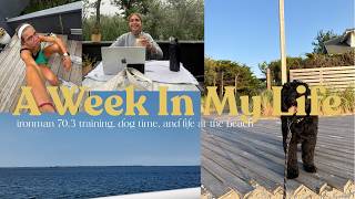 Information about a week in my life | gap year July 12-22 News