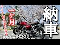 【ご報告】【バイク女子】になりました！55歳人生初のチャレンジ＆貝そばの美味しいラーメン店を紹介します♪｜GB350,HONDA｜ラーメンエイト【バイク納車】【モトブログ】