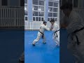 Dan test, Shihan Sergii Mutin Branch, WKO Shinkyokushinkai Ukraine