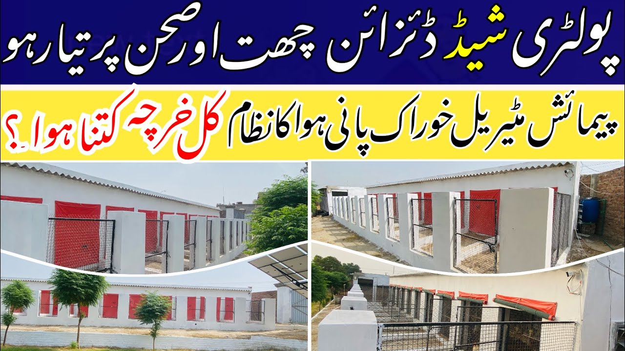 مرغیوں کے جدید قسم کا شیڈ ڈئزائن Poultry Sheed design |Shed Design for Poultry Farming|