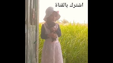 طفله صغيرة تقراء سورة الفيل #اكسبلور #لايك