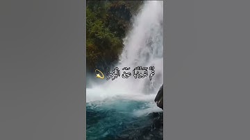 القران الكريم ( سورة التكاثر ) ✨ بصوت الشيخ ياسر الدوسري 🥀