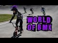 Fatboy / Rocker  BMX Races