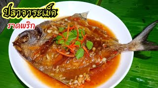 ปลาราดพริก | ปลาจาระเม็ดขาวทอดกรอบ | ราดพริก | MAY TINE AUS