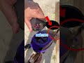 Este jugador de paintball hizo una recarga casi perfecta