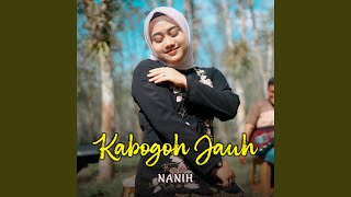 Download Lagu Kabogoh Jauh Download Lagu Kabogoh Jauh