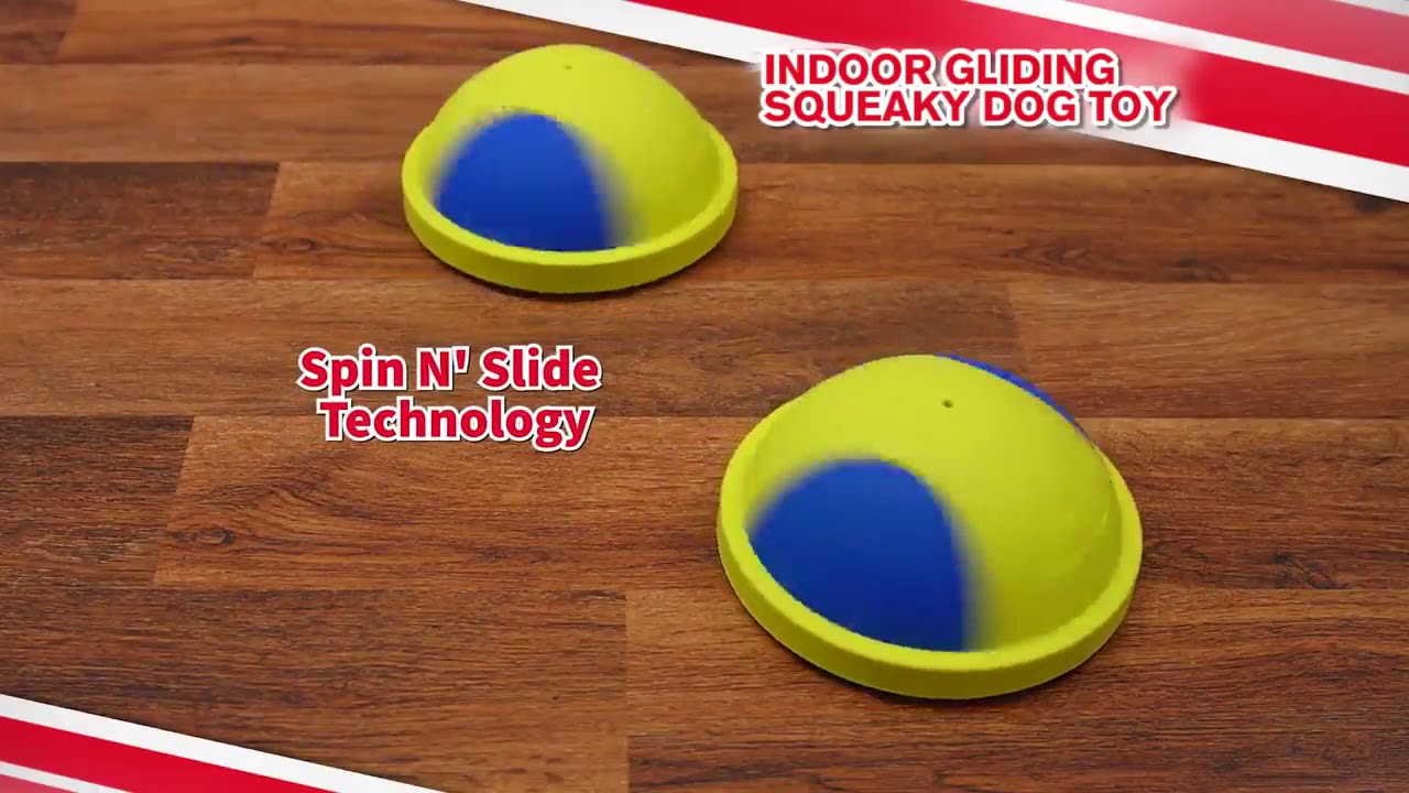 Indoor Gliding Squeaky Dog Toy - YouTube