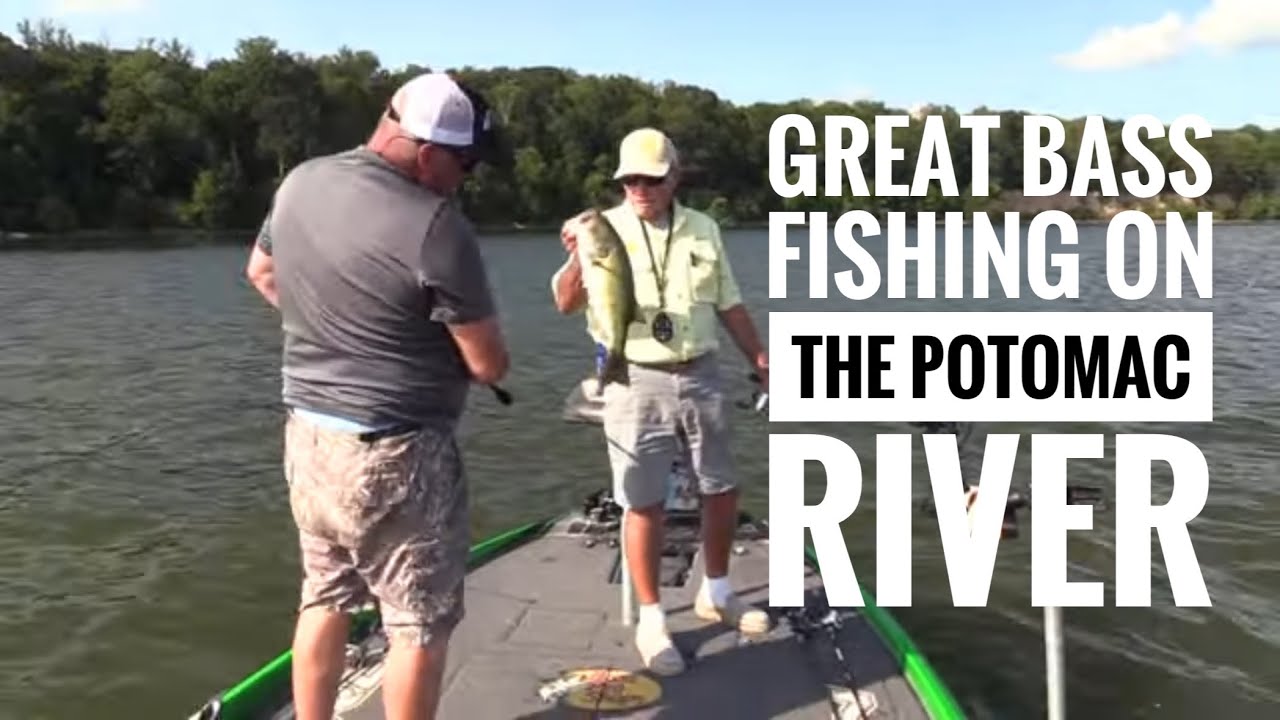 Great bass fishing on Potomac river YouTube
