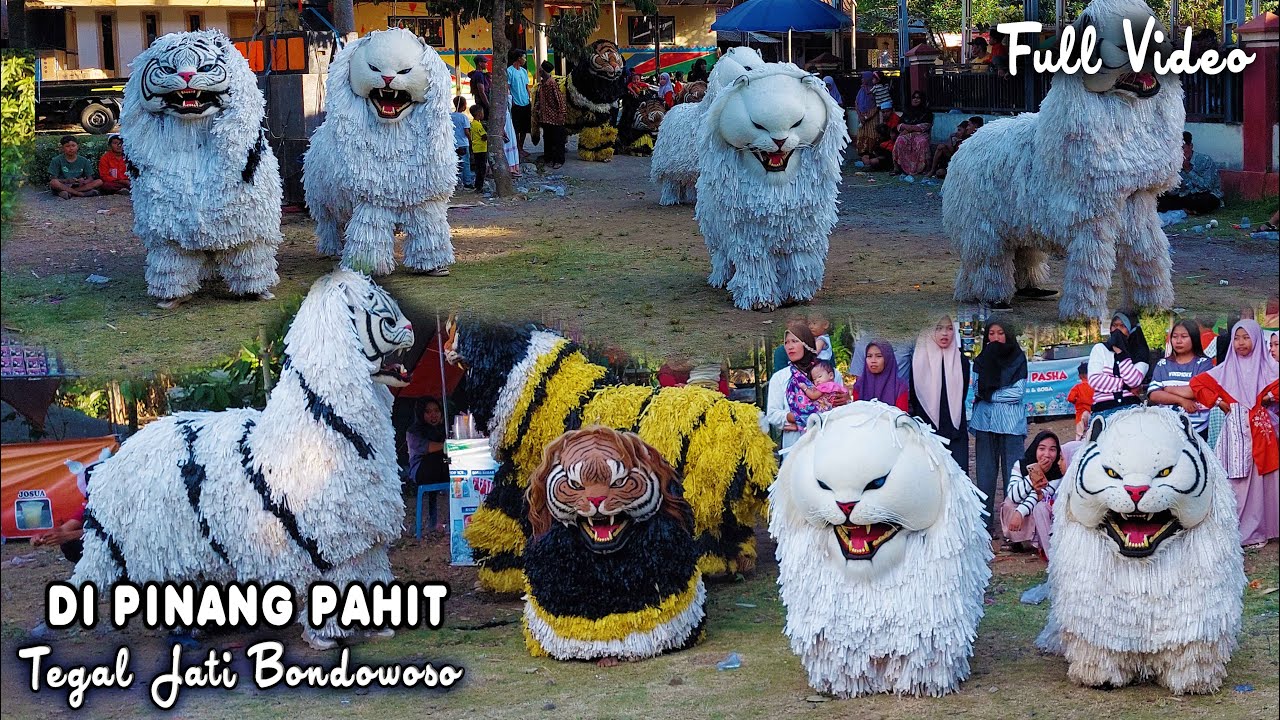 KIRAB CAN MACANAN DAN DRUMBAND SINGO MANGGALA DI PINANG PAHIT TEGAL JATI BONDOWOSO FULL VIDEO.mp4