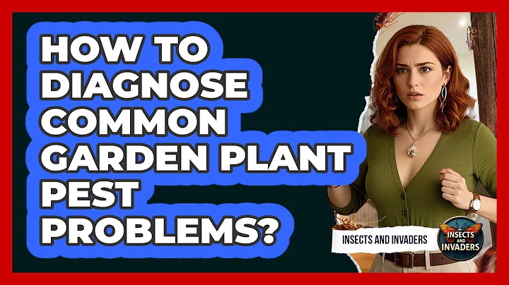 How To Diagnose Common Garden Plant Pest Problems?