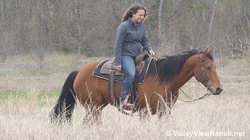 Jill Got Lit - trail riding! - ValleyViewRanch.net