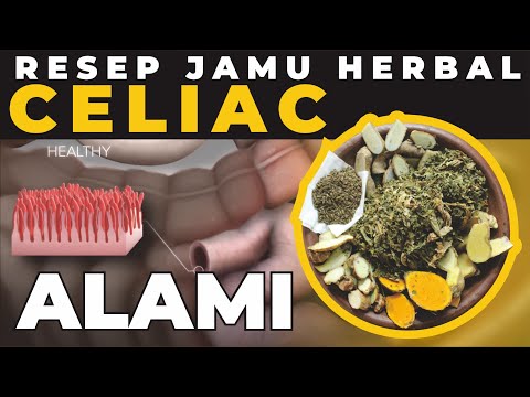 CELIAC – AUTOIMUN GLUTEN - RESEP JAMU – HERBAL – ALAMI - SERIES RESEP LAMBUNG – DISPEPSIA - 13/15