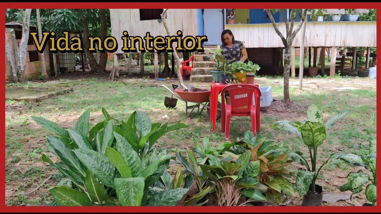 VIDA NO SÍTIO NÃO FALTA TRABALHO,  MAS É TÃO PRAZEROSA + FICOS GIGANTE 🙌🤗