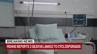 WNEM Afternoon Extra: MDHHS reports 2 deaths linked to cyclosporiasis