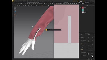 Character Modeling Part 16  Adding Zippers in Marvelous Designer