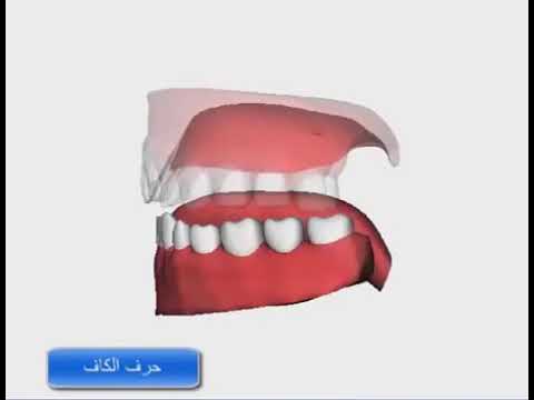 مخرج حرف الكاف وتقنية ثلاثي الأبعاد