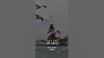 آية رقم 7 من سورة المائدة { وَاذْكُرُوا نِعْمَةَ اللَّهِ عَلَيْكُمْ }#سورة_المائدة