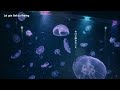 [Vie/Jap] ヴァイオレット (Violet) - 原田知世 (Harada Tomoyo) 